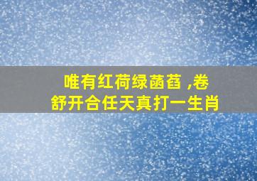 唯有红荷绿菡萏 ,卷舒开合任天真打一生肖